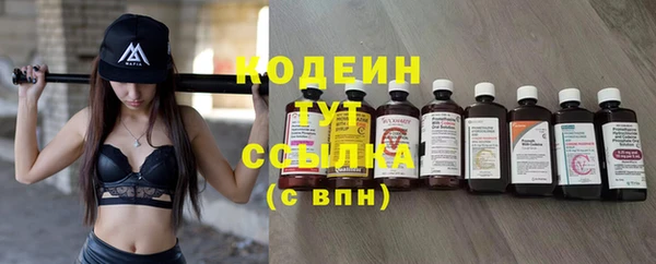 дживик Богородицк