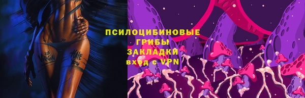 дживик Богородицк