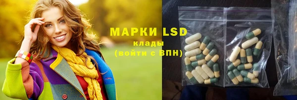 дживик Богородицк
