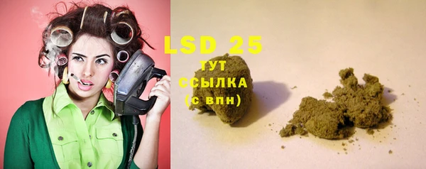 дживик Богородицк