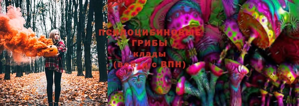 дживик Богородицк