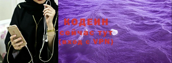 дживик Богородицк