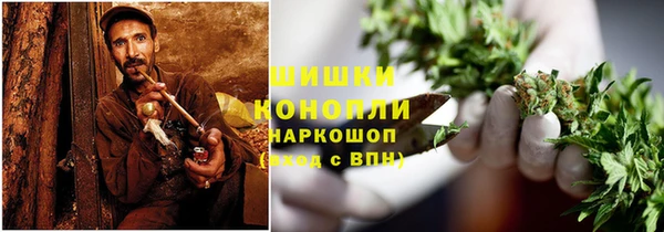 дживик Богородицк