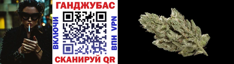 kraken зеркало  Новоржев  Каннабис индика 