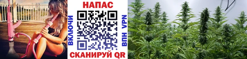Бошки Шишки White Widow Новоржев
